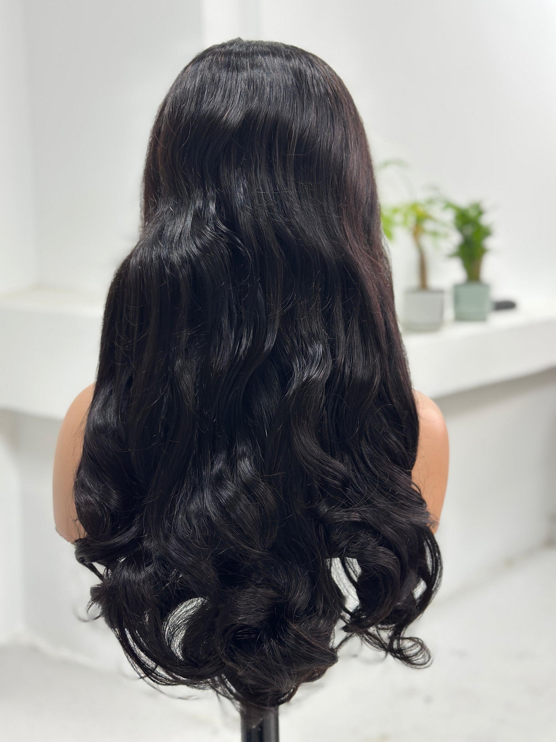 Back view of Worry Freeshop 24 inch natural black loose wave human hair wig